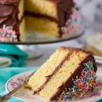 Classic Yellow Layer Cake with Frosting